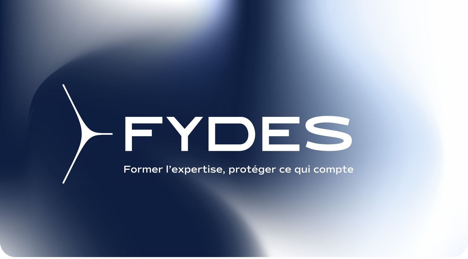 FYDES – Former l’expertise, protéger ce qui compte
